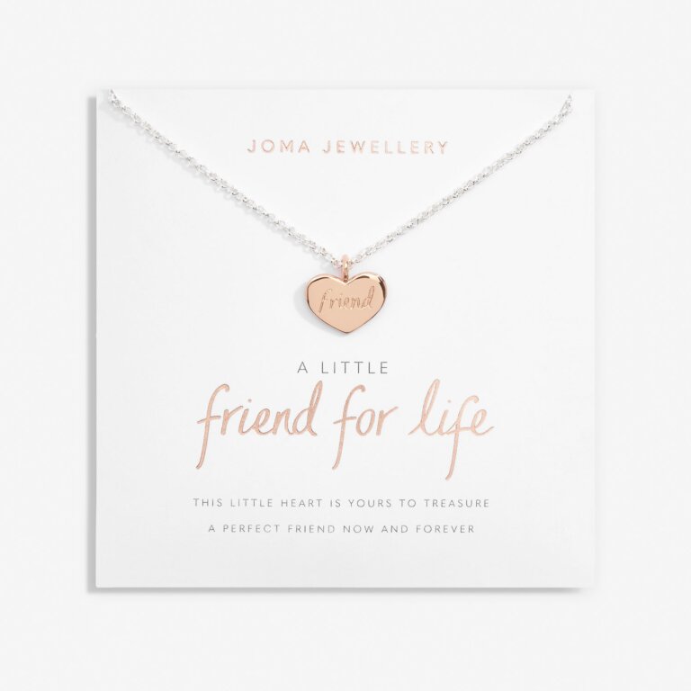 Joma Jewellery A Little Friend For Life Silver And Rose Gold Plated Necklace