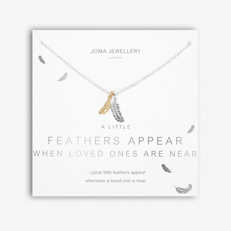 Joma Jewellery A Little Feathers Appear When Loved Ones Are Near Necklace