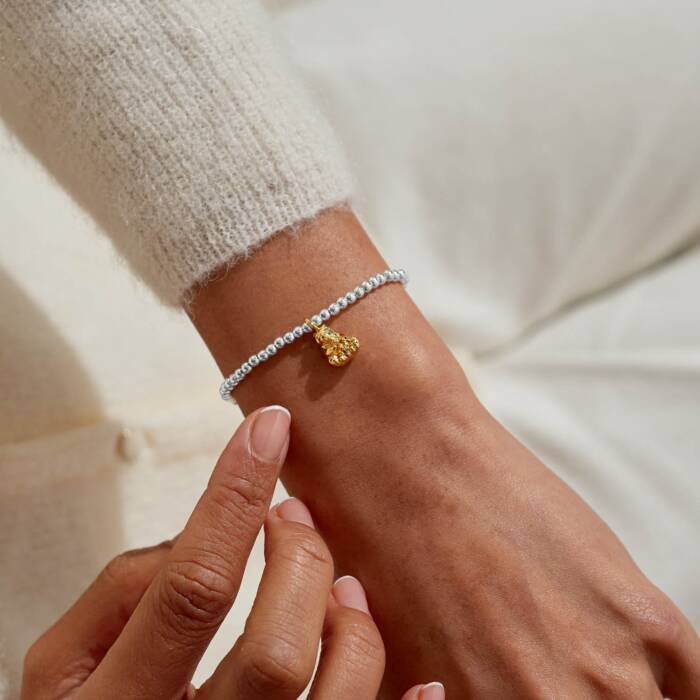 Joma Jewellery A Little Mama Bear Silver & Gold Plated Bracelet