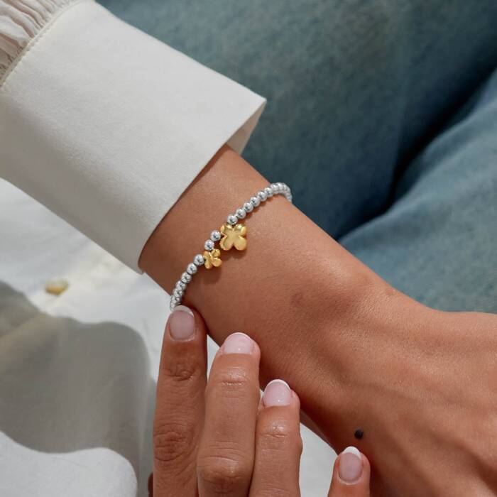 Joma Jewellery Boxed A Little Good Luck Silver & Gold Plated Bracelet