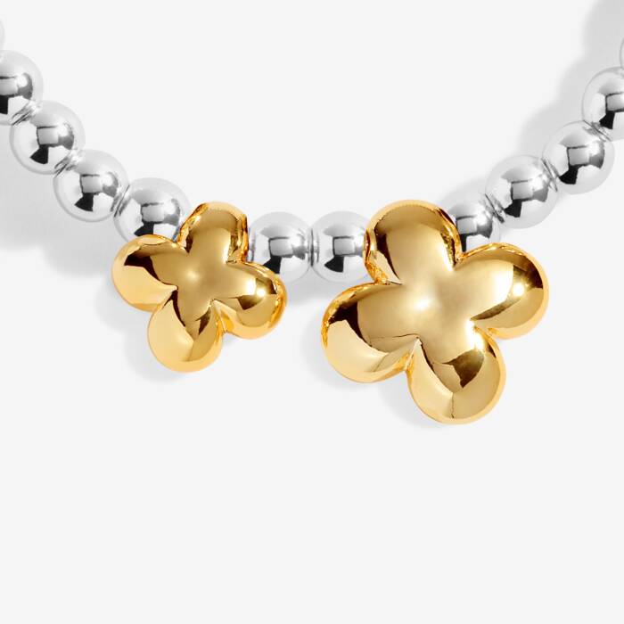 Joma Jewellery Boxed A Little Good Luck Silver & Gold Plated Bracelet